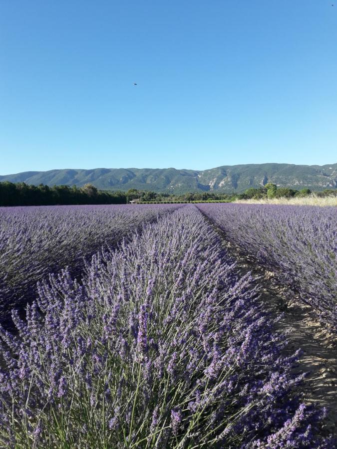 Gite Le Bagnol Un Coin De Paradis Maubec  Екстер'єр фото
